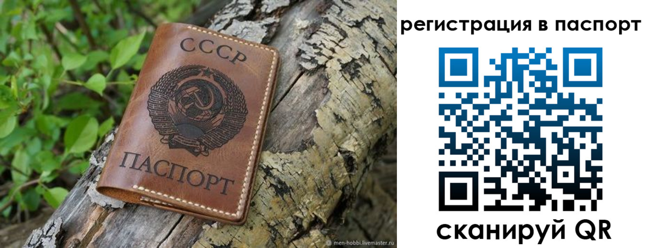 прописка штамп в Приморском крае